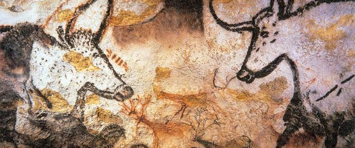تاریخچه طناب و نحوه پیدایش آن